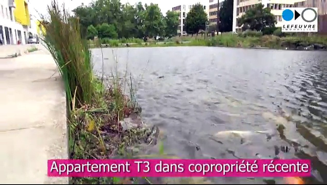 Nantes Beaulieu - Vente appartement T3 dans résidence récente, proche Loire et Busway
