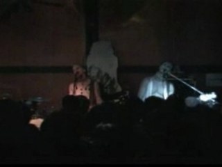 Sleepytime Gorilla Museum