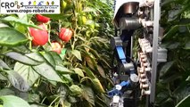An Autonomous Harvesting Robot for Sweet-pepper in Greenhouses (Lip-type end-effector)