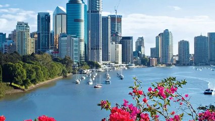 Quad Services Sydney Cleaning Company