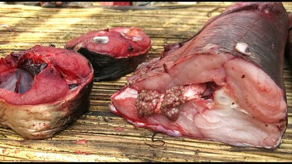 Ahero: An African bush market