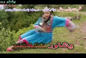 Za Pukhtoon Malang Yum | Bakhtiyar Khattak | Pashto New Film | Khanadani Badmash Hits 2015 Pashto HD