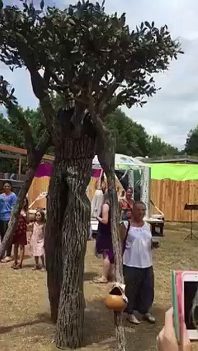 Amazing Tree man