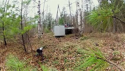 bengay kaplanının dogaya salış anı