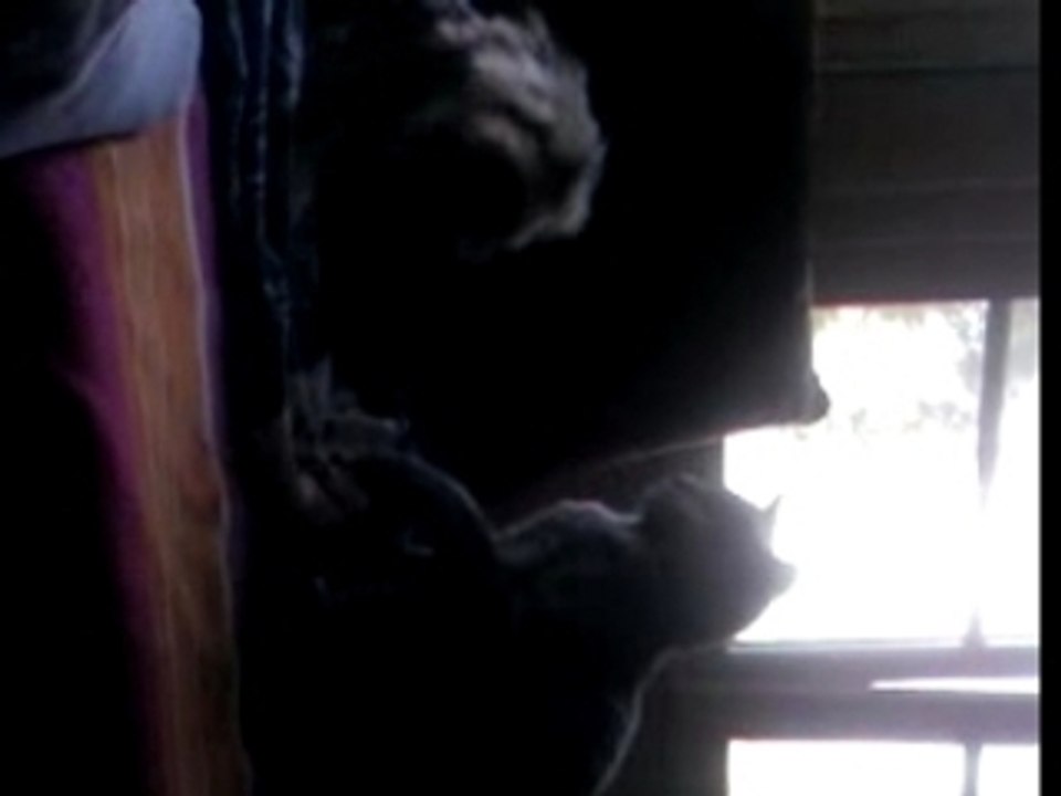 Stitch pas content
