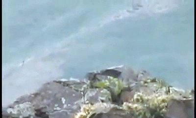 bordo bereliler bakın pkk lıları nasıl vuruyor