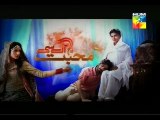 Mohabbat Aag Si Episode 12 on Hum tv P1