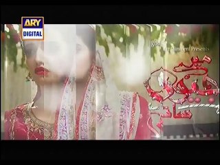 Mere Jevan Saathi Episode 5 On Ary Digital P1