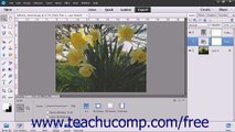 Photoshop Elements 13 Tutorial Adjustment Layers & Fill Layers Adobe Training