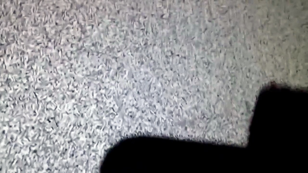 PEPPA pig kills herself with a gun