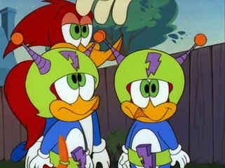 El pajaro loco - Campamento Buzzard