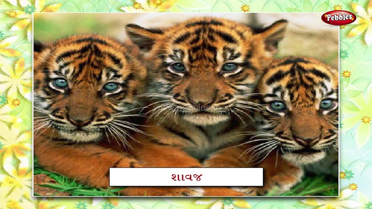 Animal Babies In Gujarati | Learn Gujarati For Kids | Gujarati Grammar |  Gujarati For Beginners - video Dailymotion