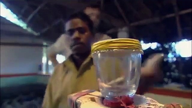 سانپ کے زہر کو انسانی خون میں ملایا جائے و تو کیا ہوتا ہے؟ دیکھیں