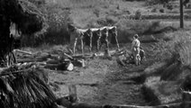 Seven Samurai 1954   7 võ sĩ Samurai   Phim võ thuật   kiếm hiệp hay