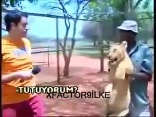 en komik canlı yayın videoları