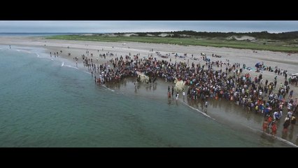 Theo Jansen’s Strandbeests Roam the Northeast