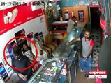 Robbery on mobile shop - Islamabad CCTV Footage