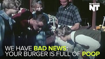 Your Burger Is Full Of Poop