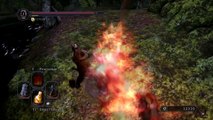 Dark Souls 2 Weapon Showcase I Smelter Sword/Schmelzer Schwert I