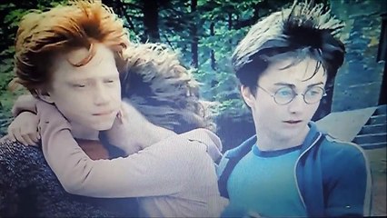 Harry Potter 1-7 - jak dorastali