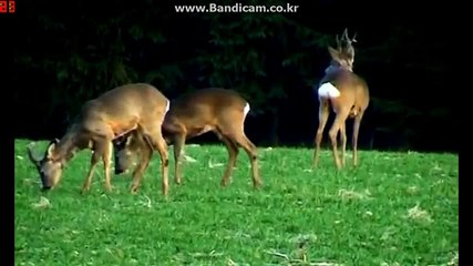 부천출장안마 O1Ov6569v5050 &인천출장안마&부평출장안마&부천출장마사지