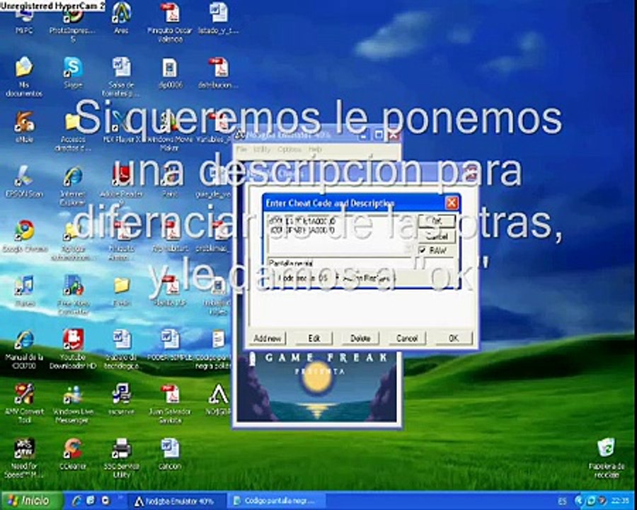 Solucion pantalla negra Pokémon HeartGold y SoulSilver [FIX]
