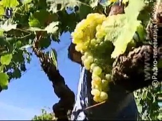 Kvadratura kruga / Kistanje