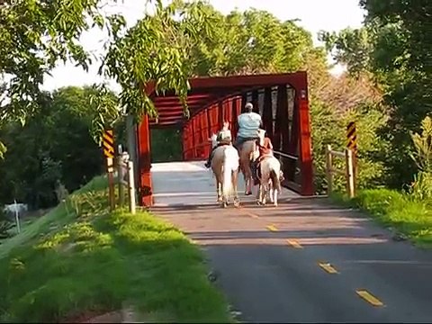 Pony Girl 8 yr old paint pony mare for sale!