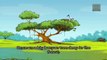 Panchatantra Stories The Foolish Crane Tamil Moral Stories for Children Animated Cartoons