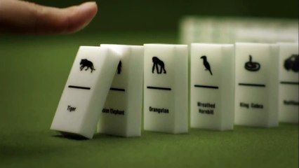 Save Tigers Save the World - WWF