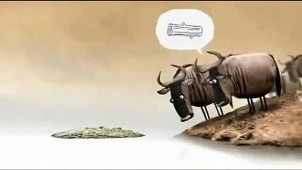 cartoon fun life of buffaloes and crocodiles