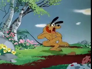 Disney Jr Pluto Springtime For Pluto