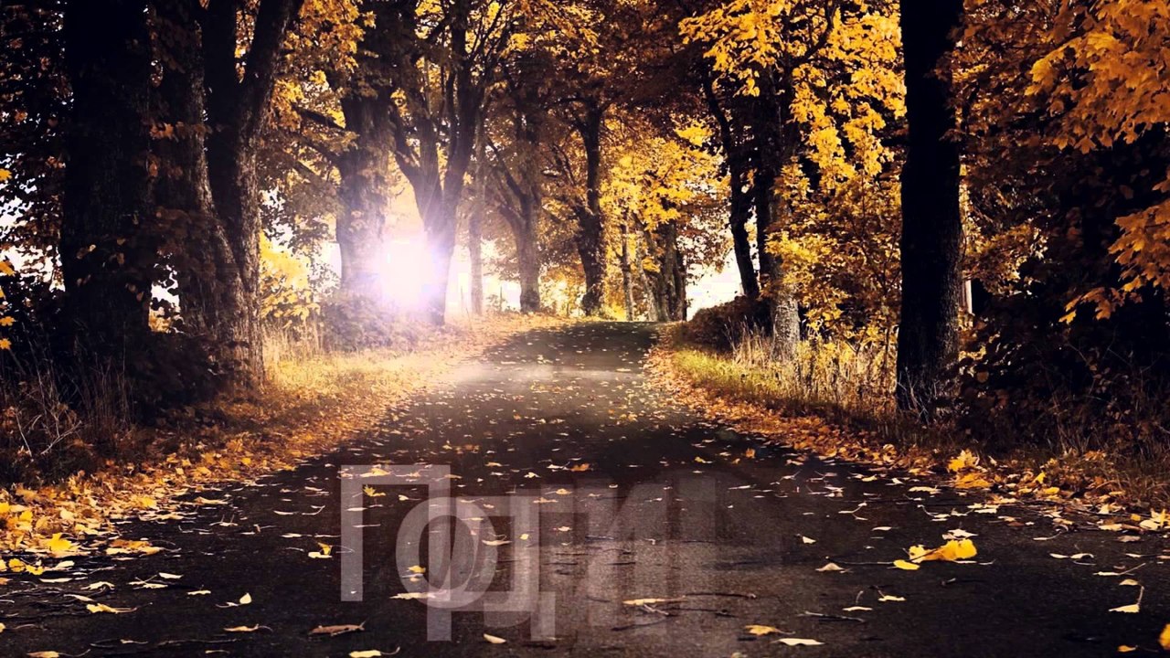 Novica Vasilevski - Ramo za placenje (Official Lyrics)