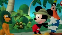 Dessins animés Donald Duck & Chip and Dale | Disney Pluton, Minnie Mouse, Mickey Mouse,