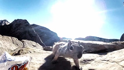 6 Deaths Angel's Landing - Zion Park