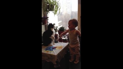 кот играет с ребенком смешное видео