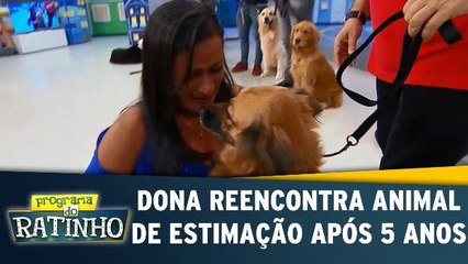Dona reencontra animal de estimação após 5 anos