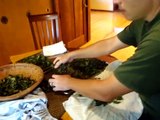 Hand-processing of tea leaves