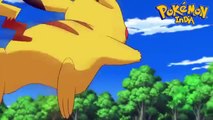 Pokemon XY episode 79 Preview!