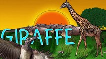Animal Songs for Children! Zoo Animal Songs for Kids, Safari Animals Songs, Songs for Kindergarten