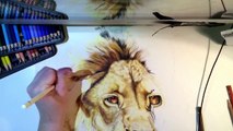 Speed Drawing - Cecil The Lion - Colored Pencils Pan Pastels Time Lapse Art
