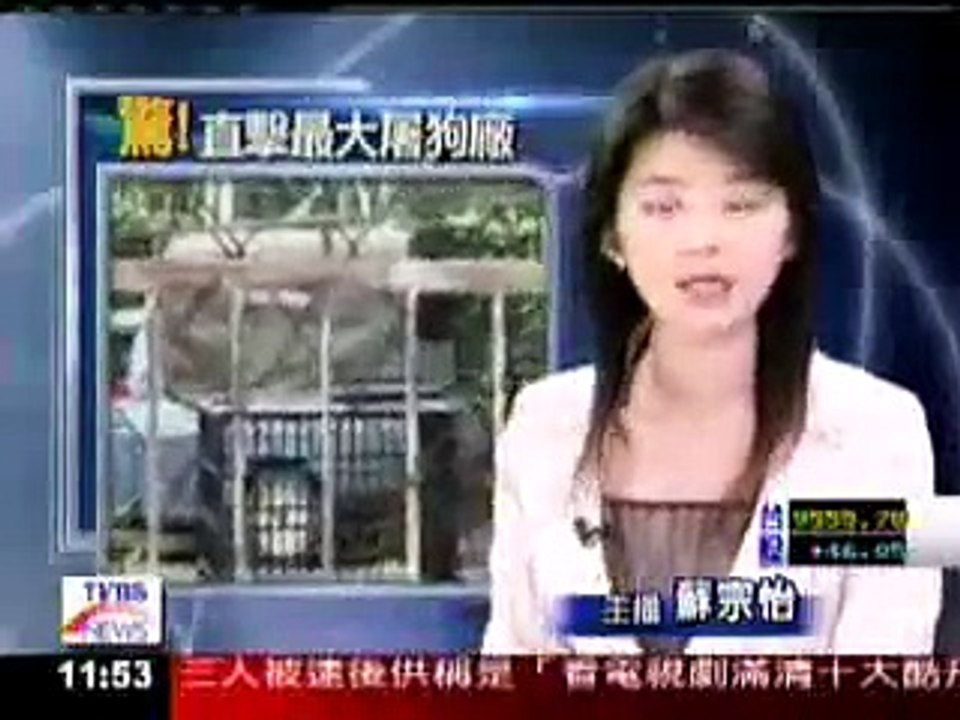 誰說台灣人不吃狗肉?TAIWAN DOG MEAT