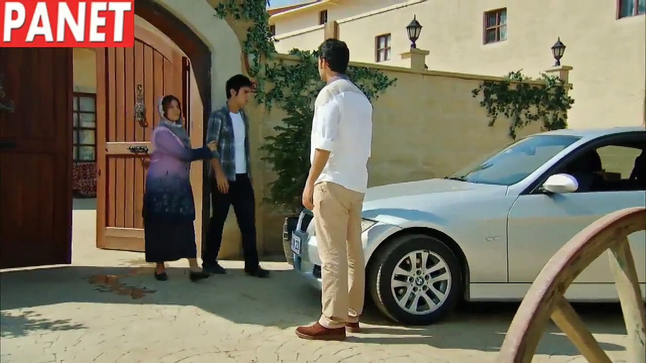 z q 5