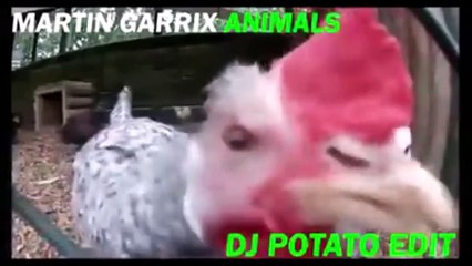 Martin Garrix's Hit Track 'Animals' 🎶 - Watch Now on AnimalPrody