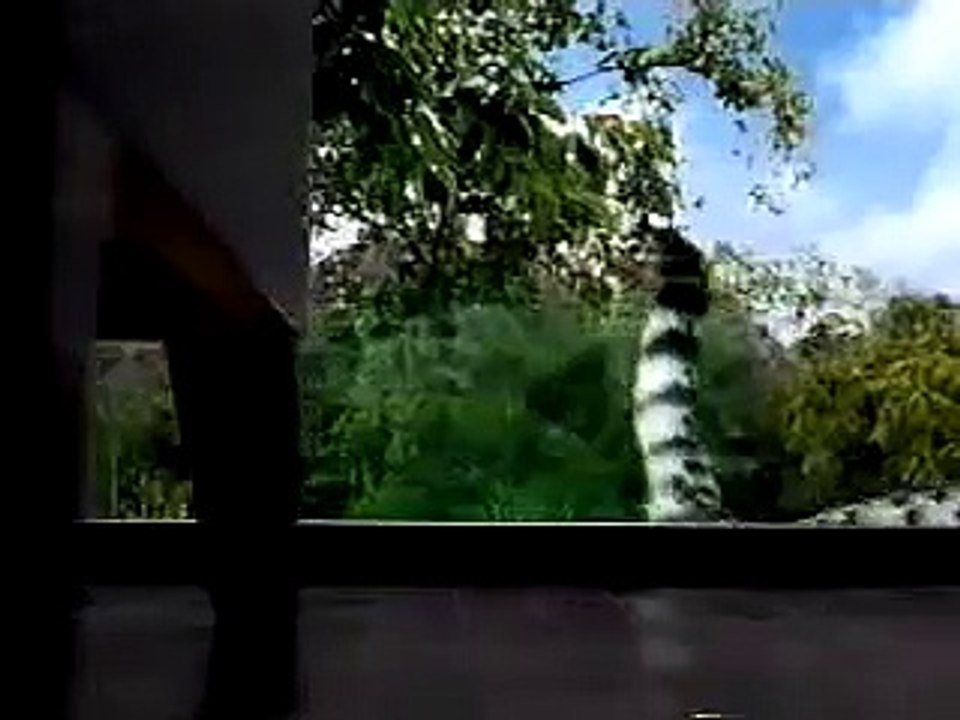 Whiskas Werbung "Katzenschmaus"