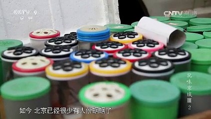 纪录片《玩味京城（第三季）》 第二集 蝈蝈