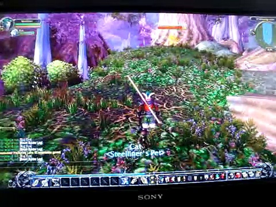 World of Warcraft Walkthrough part 1 Level 10 Night Elf Hunter