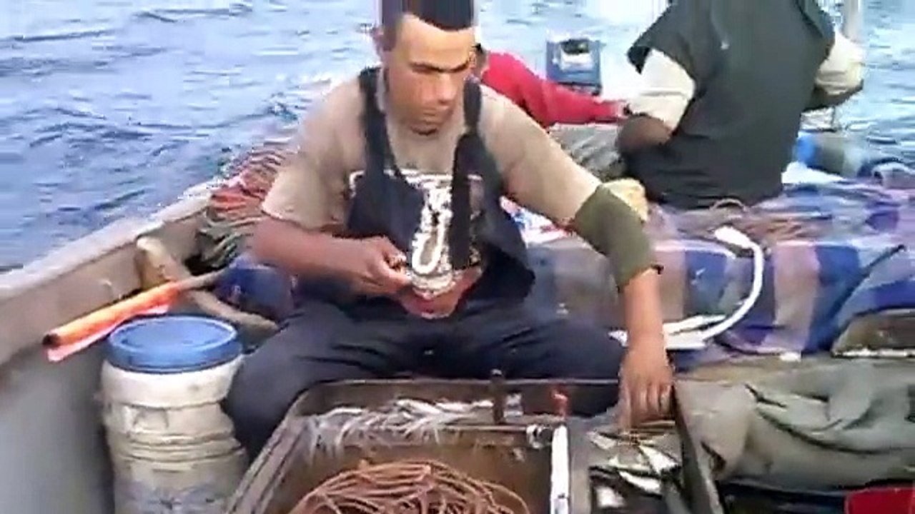الطراطق الداخلة - الصيد البحري 4