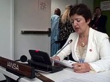 Dr. Widad Akrawi speech at the UN BMS 2010 (delivered in Arabic, translation under the video)