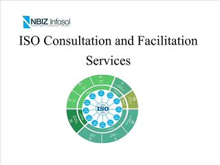 ISO Consultation and Facilitation Services